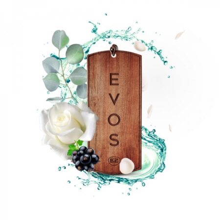 K2 EVOS Grace  Désodorisant sous forme de pendentif en bois